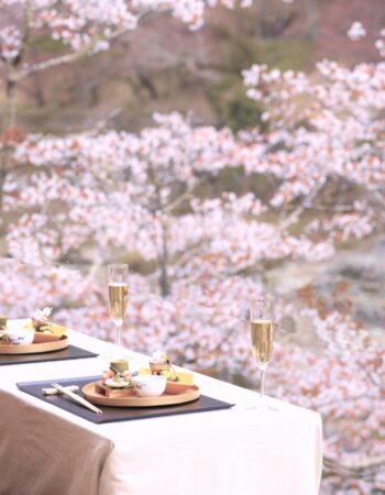 Cherry Blossom Viewing But Make It Private At These Kyoto Hotels