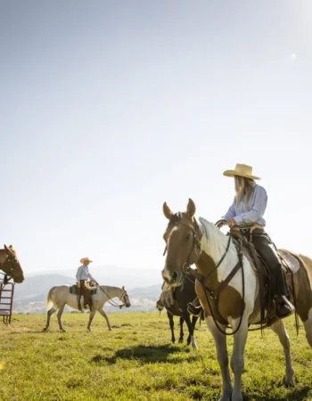 The Horse Lover’s Hideaway: Hotels with Riding and Equine Therapy